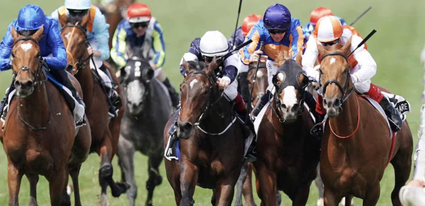 A field of thoroughbreds races down the straight