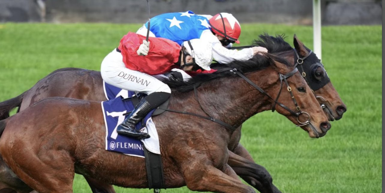 Two horses fight out a finish head to head